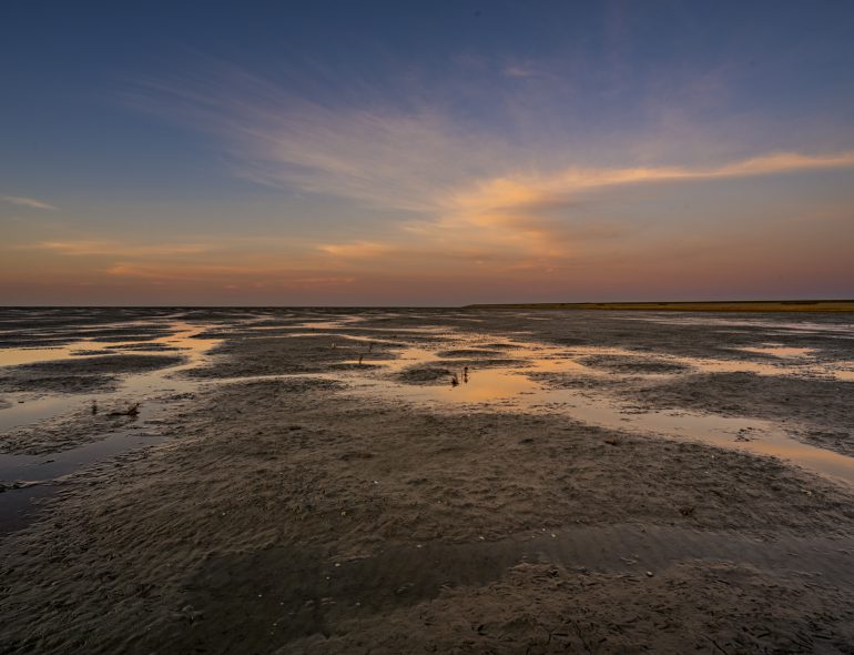 friesland-3